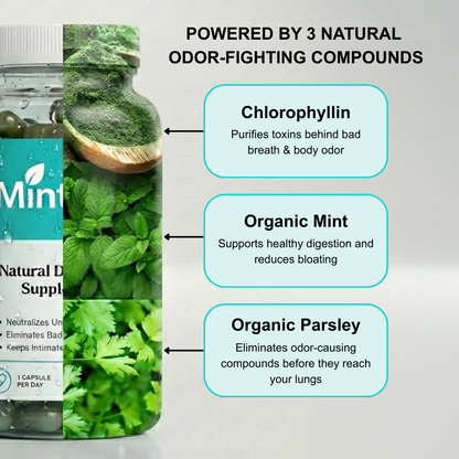 Mintora - ALL IN ONE Fresh Breath & Odor Control Supplement